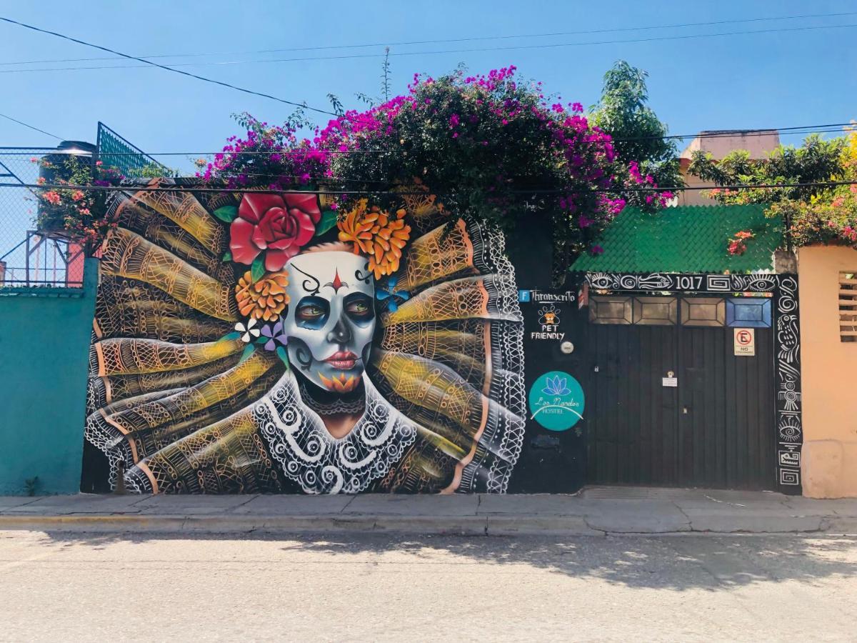 Los Nardos Hostel -Pet Friendly- Oaxaca Exterior foto