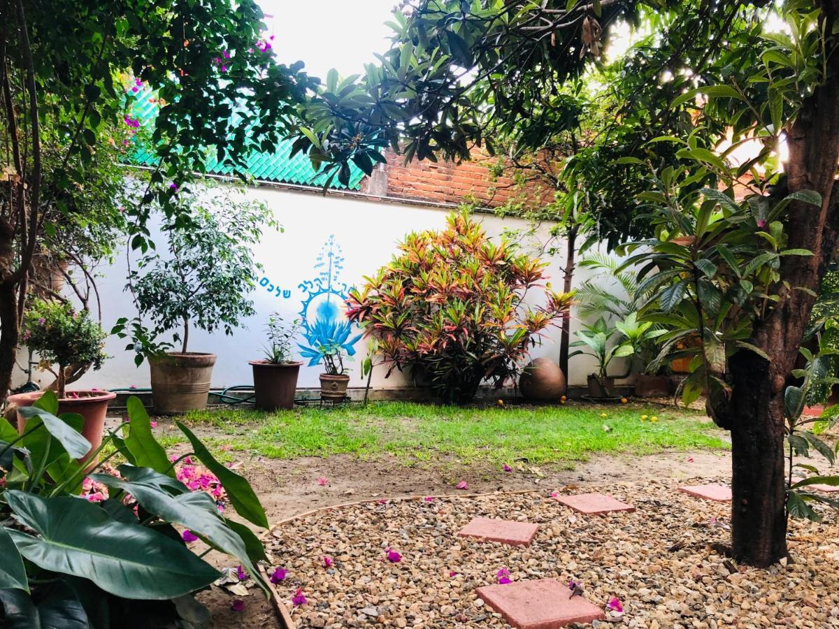 Los Nardos Hostel -Pet Friendly- Oaxaca Exterior foto