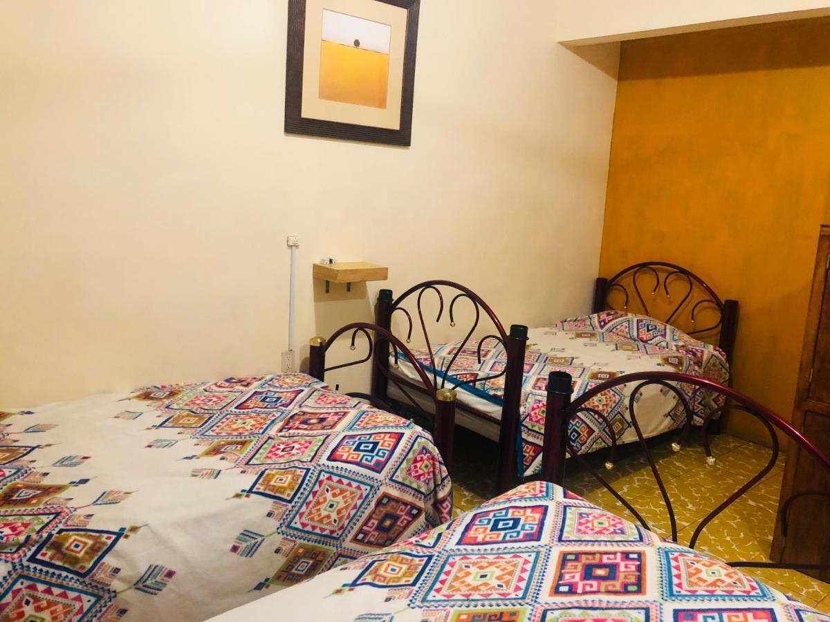 Los Nardos Hostel -Pet Friendly- Oaxaca Exterior foto