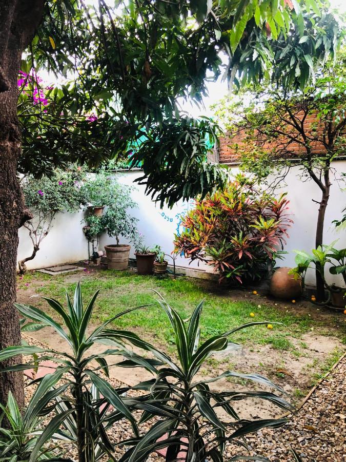 Los Nardos Hostel -Pet Friendly- Oaxaca Exterior foto