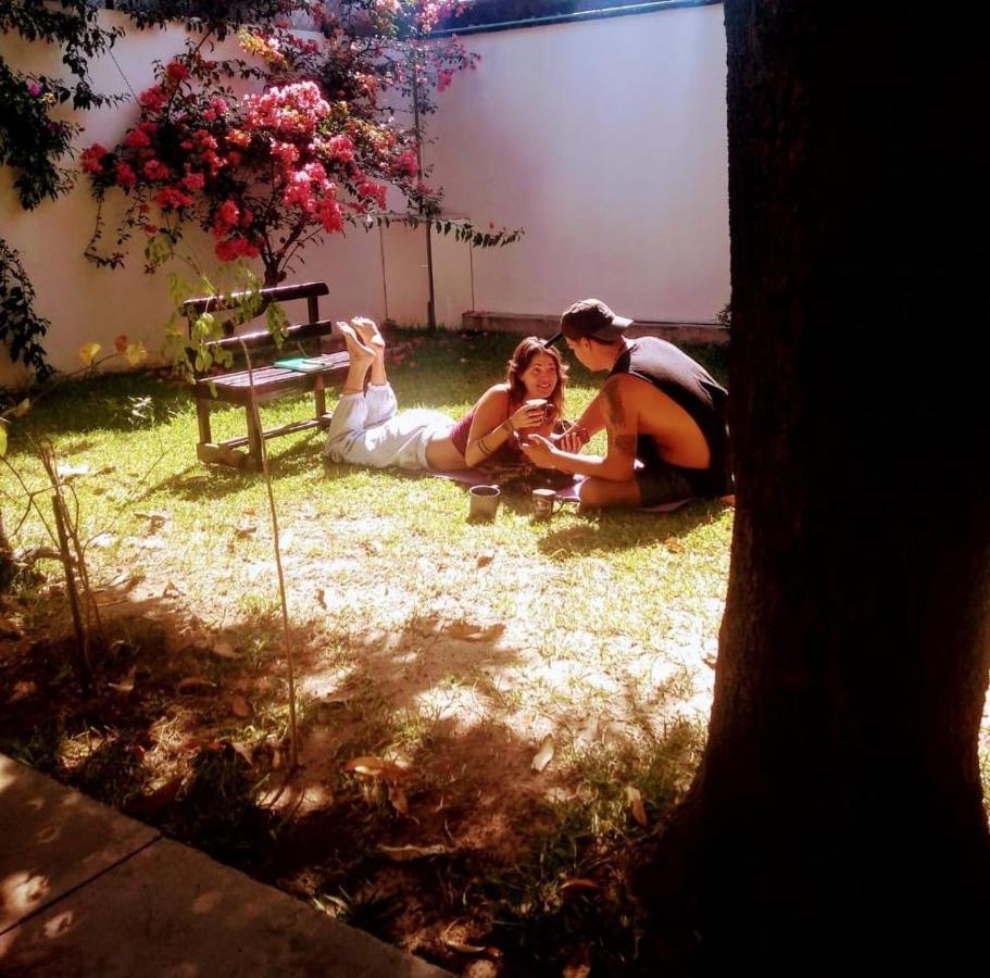 Los Nardos Hostel -Pet Friendly- Oaxaca Exterior foto