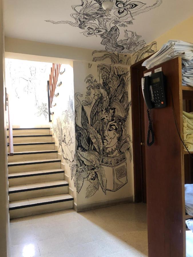 Los Nardos Hostel -Pet Friendly- Oaxaca Exterior foto