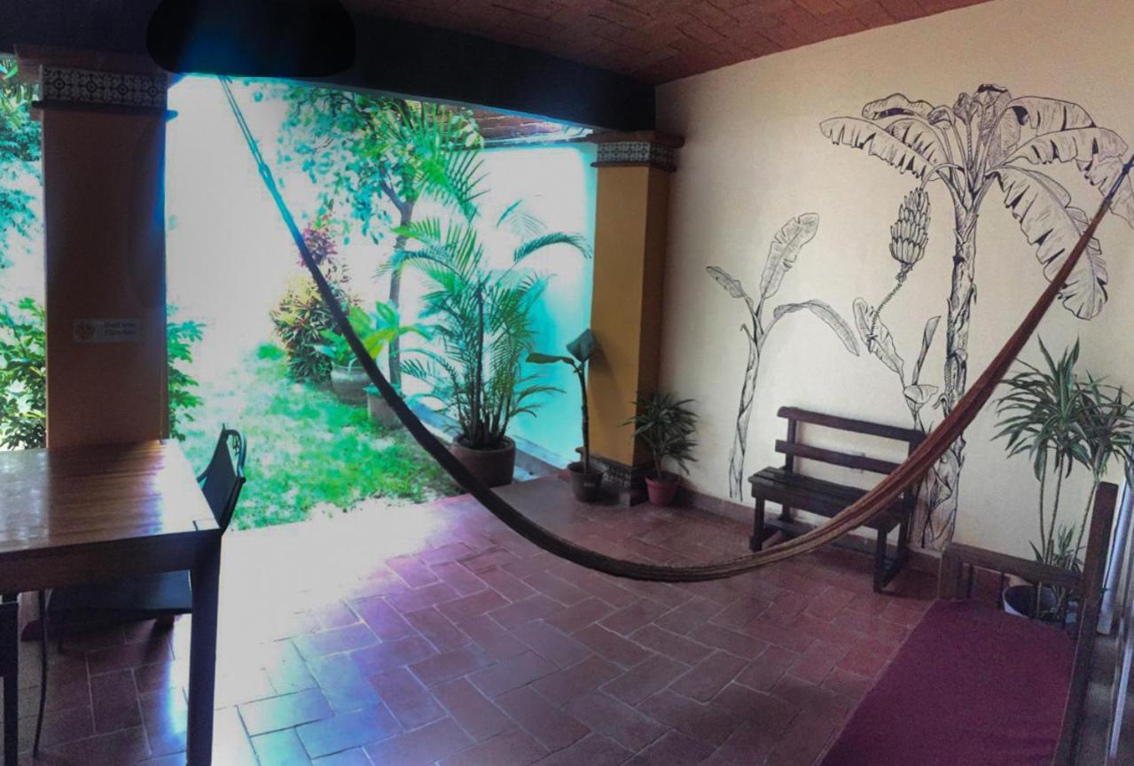 Los Nardos Hostel -Pet Friendly- Oaxaca Exterior foto